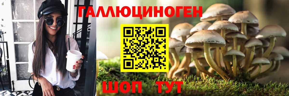 Галлюциногенные грибы ЛСД Черняховск