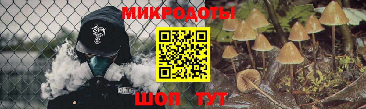 Галлюциногенные грибы мухоморы  Вход с VPN  Черняховск 