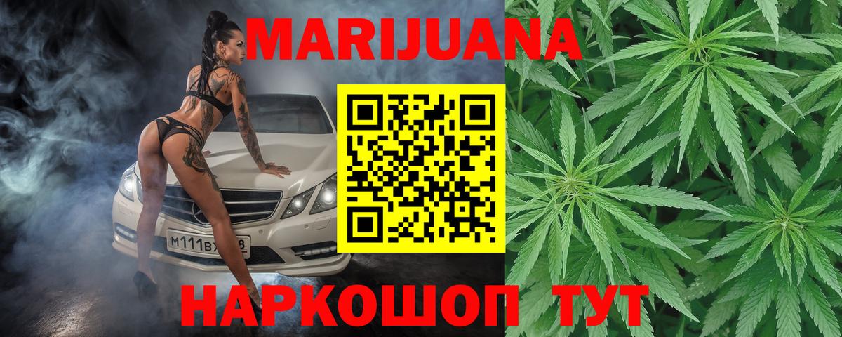 Шишки марихуана план  Вход с VPN  Бошки Шишки план  Бошки марихуана индика  Черняховск 
